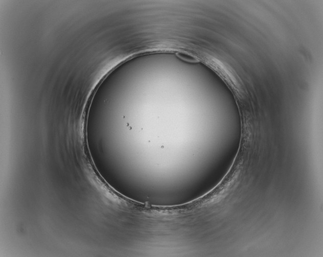 X0000111840900200907301048