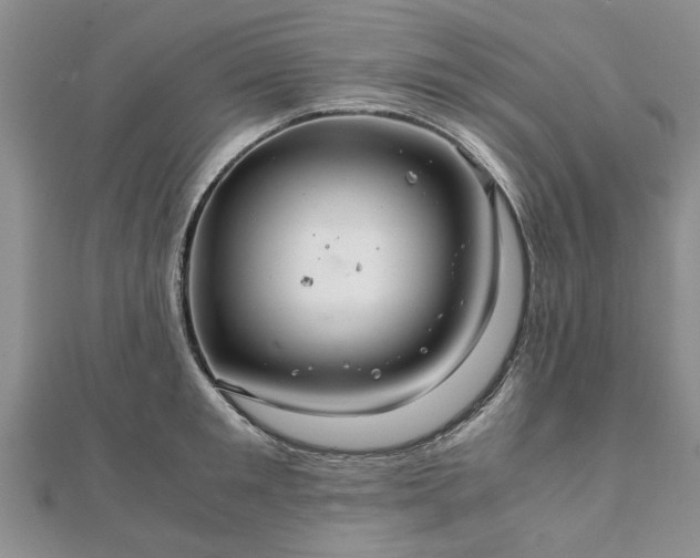 X0000111840901200907301048