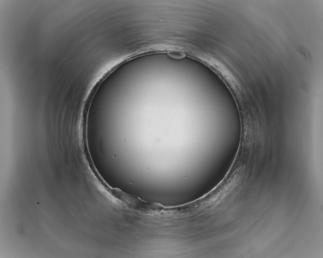 X0000111840902200907301048