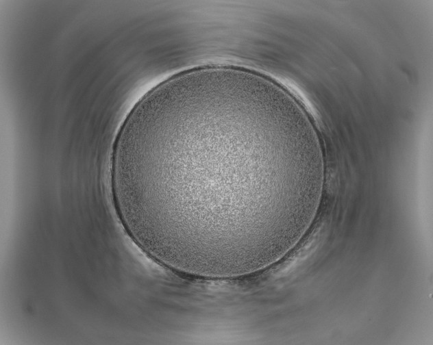 X0000111840903200907301048