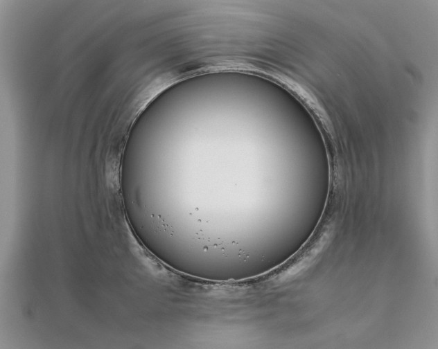 X0000111840905200907301048