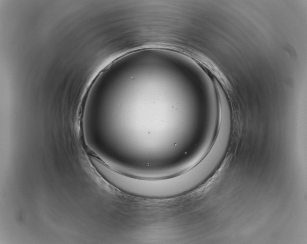 X0000111840908200907301048