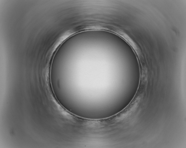 X0000111840909200907301048