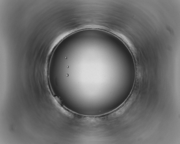 X0000111840910200907301048