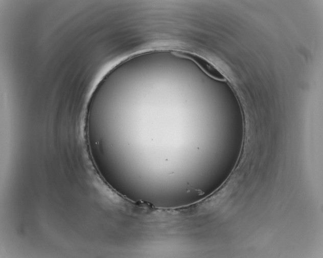 X0000111840912200907301047