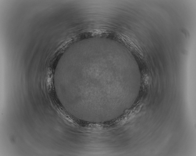 X0000111840914200907301047