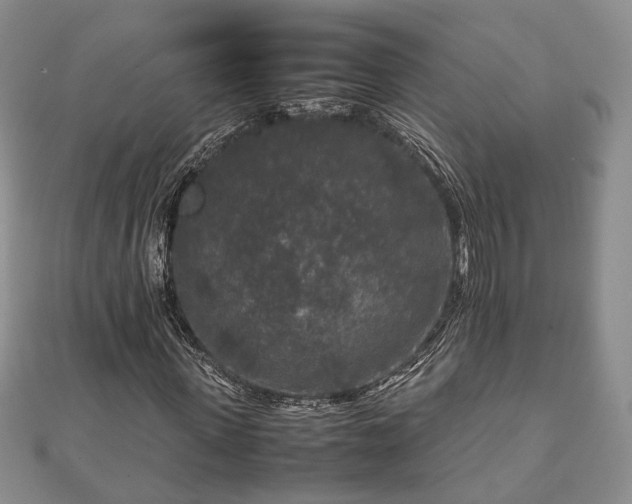 X0000111840915200907301047