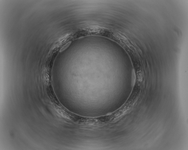 X0000111840916200907301047