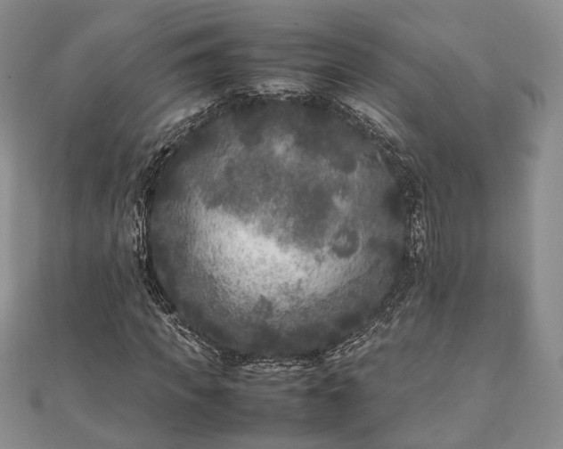 X0000111840917200907301047