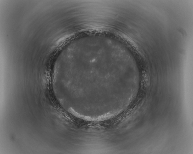 X0000111840918200907301047