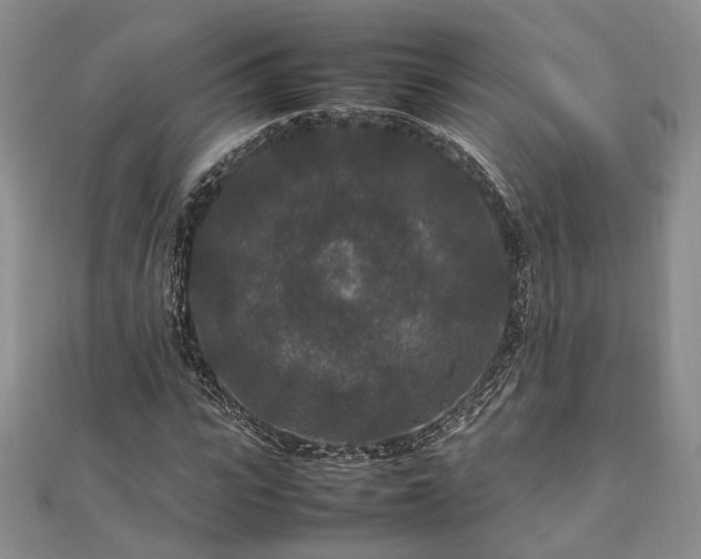 X0000111840919200907301047