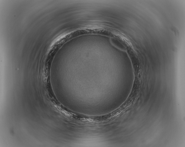 X0000111840920200907301047