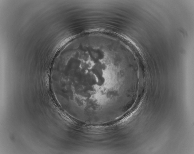 X0000111840921200907301047