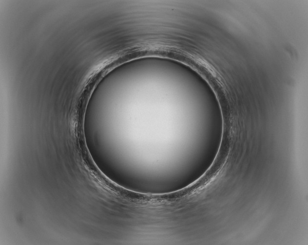 X0000111840922200907301047