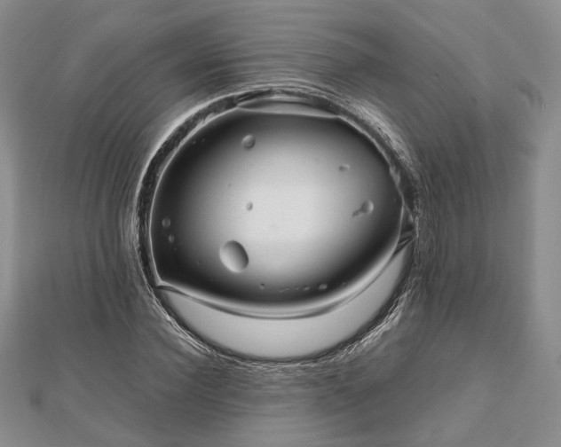 X0000111840924200907301047