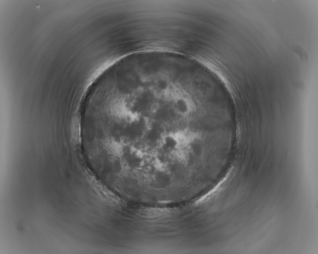 X0000111840925200907301047