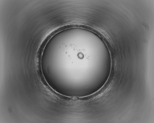 X0000111840926200907301047