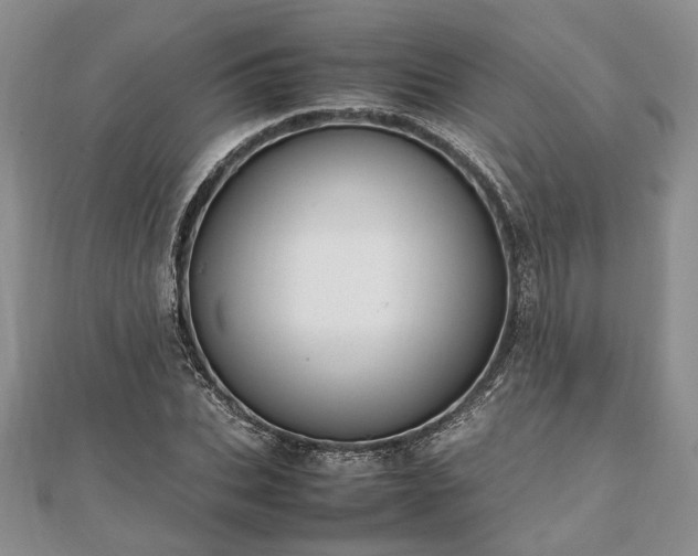 X0000111840927200907301047