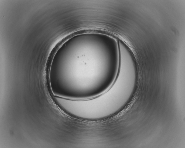 X0000111840928200907301047