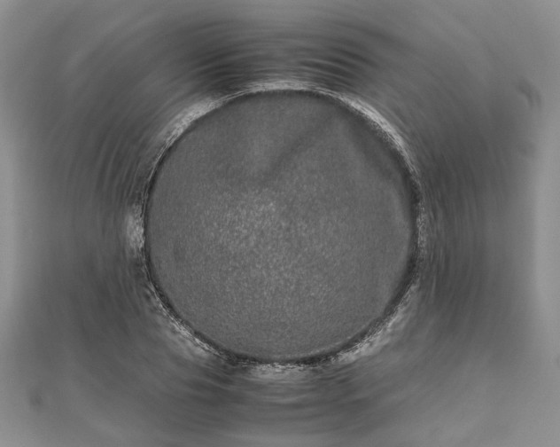 X0000111840929200907301047