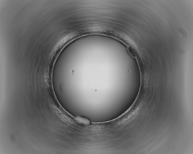 X0000111840930200907301047