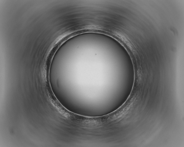 X0000111840931200907301047