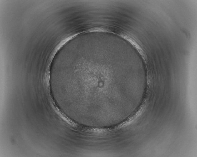 X0000111840933200907301047