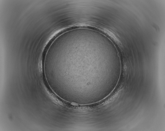 X0000111840934200907301047