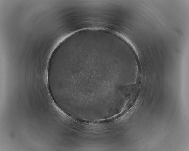 X0000111840935200907301047