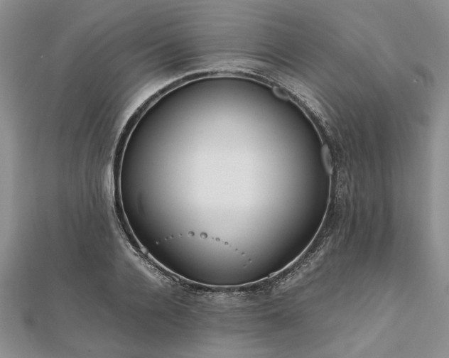 X0000111840936200907301047