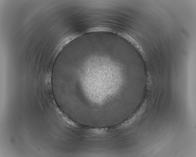 X0000111840937200907301047