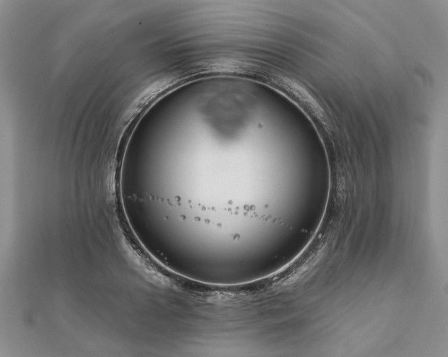 X0000111840938200907301047