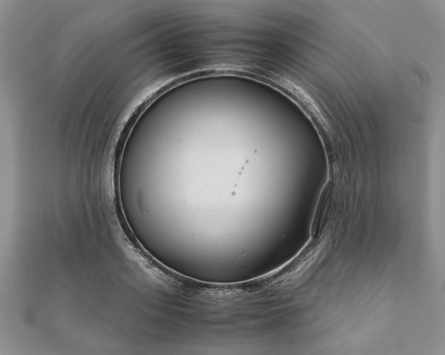 X0000111840939200907301047