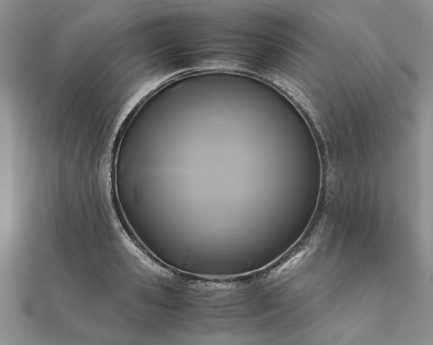 X0000111840941200907301047