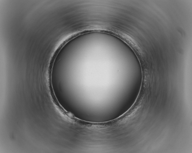 X0000111840942200907301047