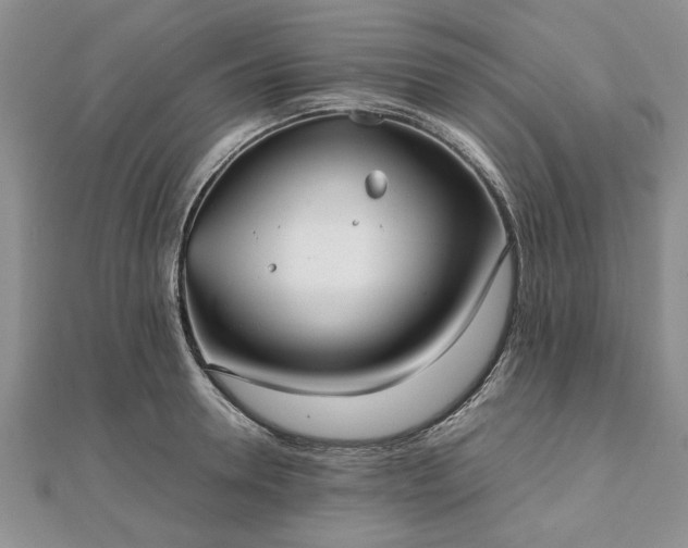 X0000111840946200907301047