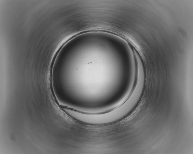 X0000111840948200907301047