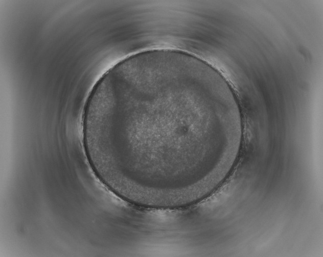 X0000111840950200907301047