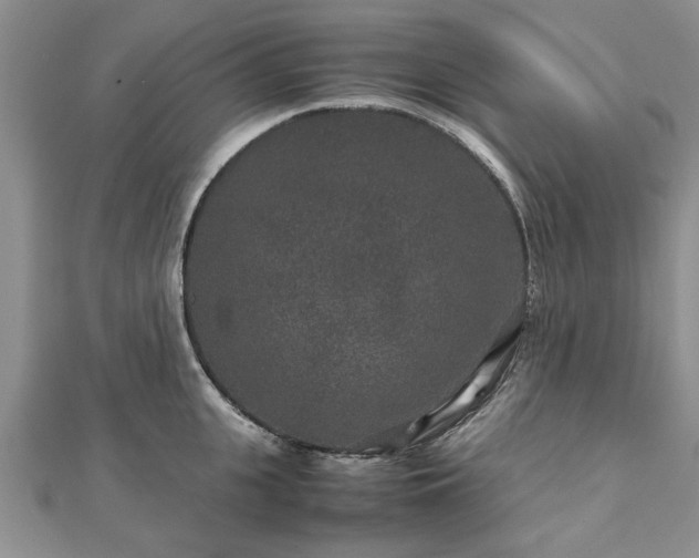 X0000111840951200907301047