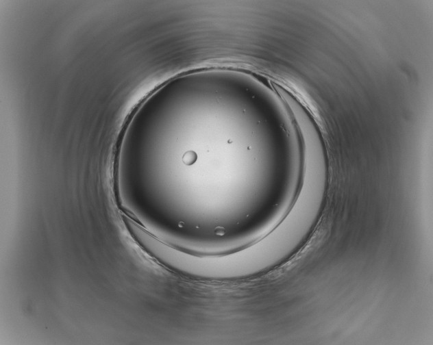 X0000111840952200907301047