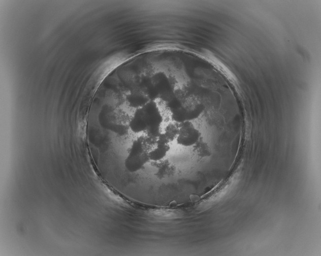 X0000111840953200907301047