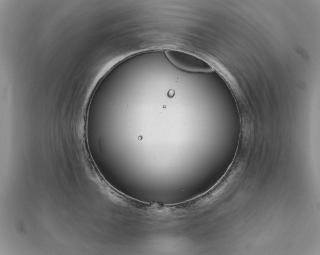 X0000111840956200907301047