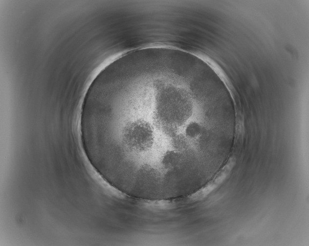 X0000111840957200907301047