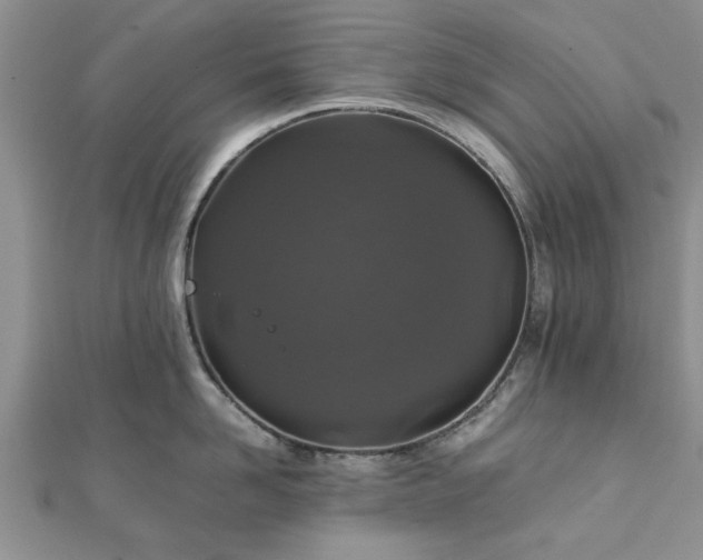 X0000111840958200907301047