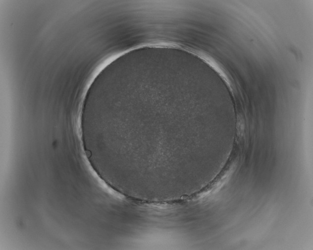 X0000111840959200907301047