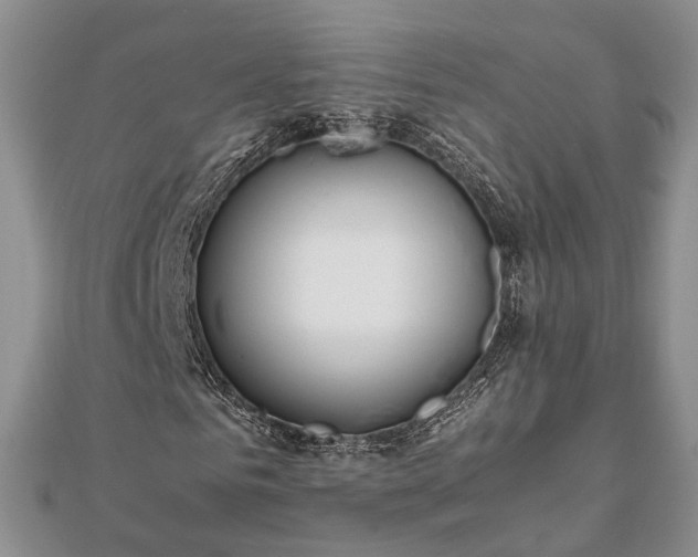 X0000111840961200907301047