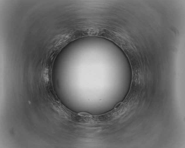 X0000111840962200907301047