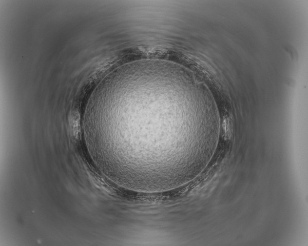 X0000111840963200907301047