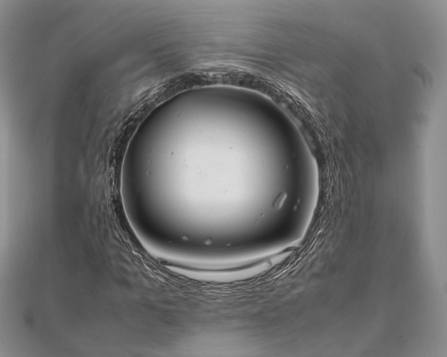 X0000111840965200907301047