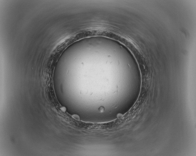 X0000111840967200907301047